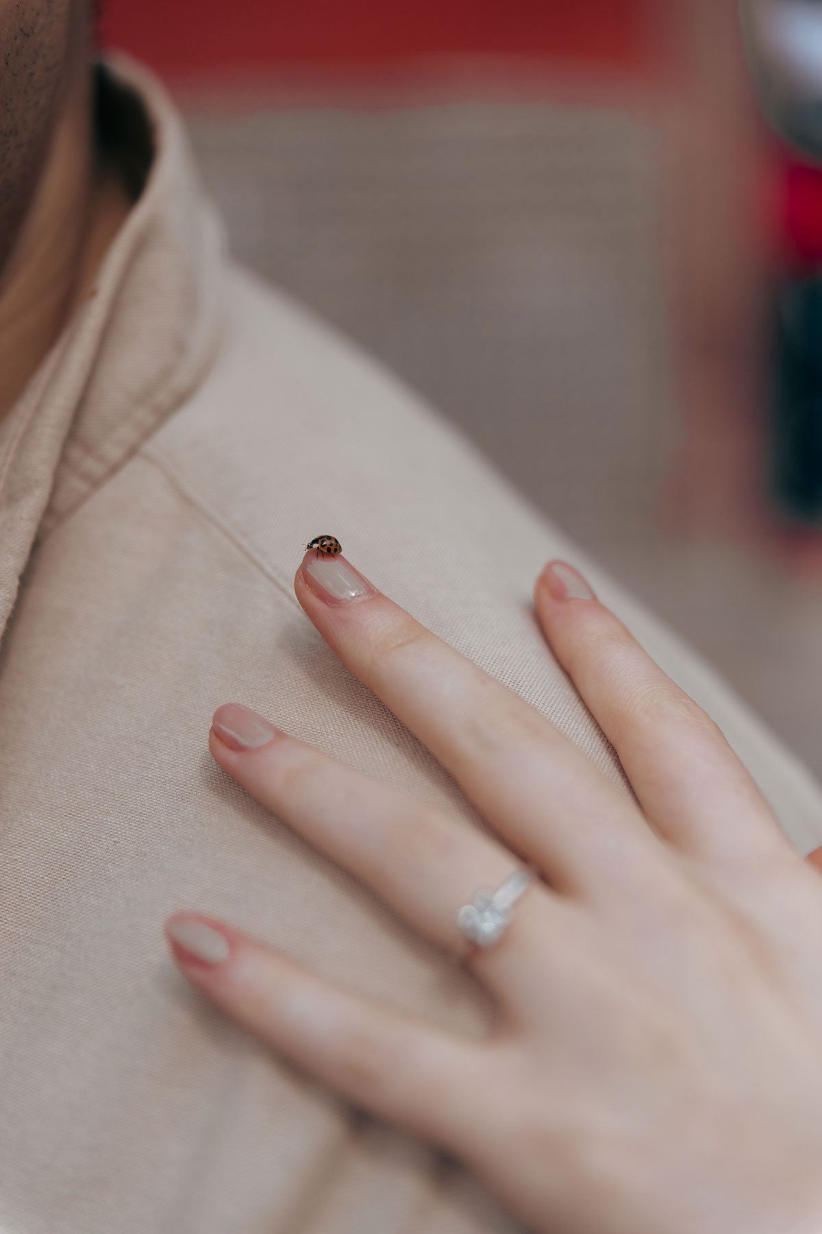 F&F—save-the-date-53